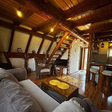 Vila Sarigora Žabljak Extérieur photo