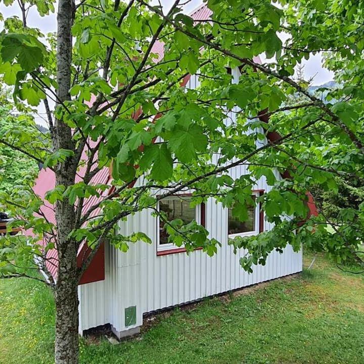 Vila Sarigora Žabljak Extérieur photo