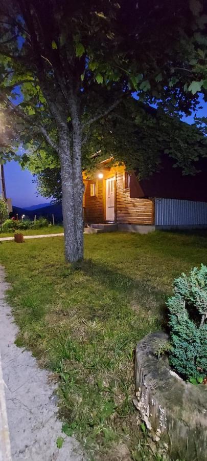 Vila Sarigora Žabljak Extérieur photo