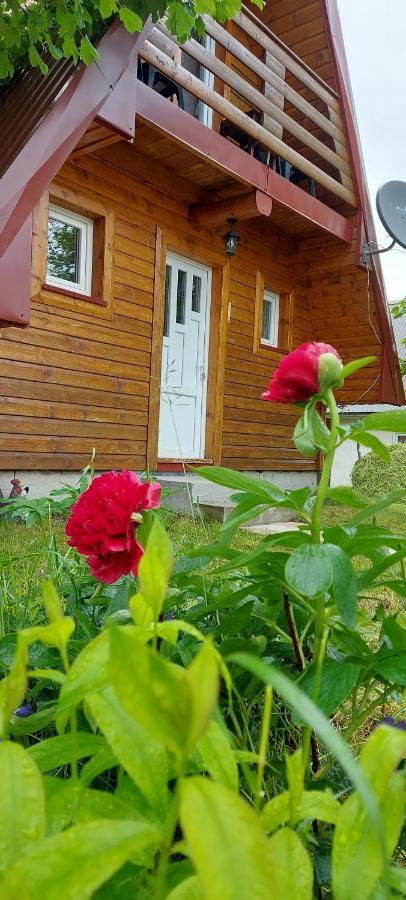 Vila Sarigora Žabljak Extérieur photo